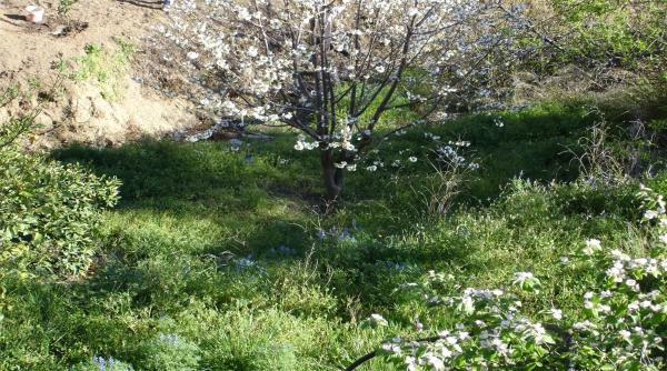 Terreno en viña de juanes s/n