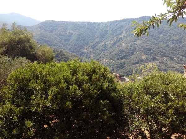 Terreno en campa solana, 14