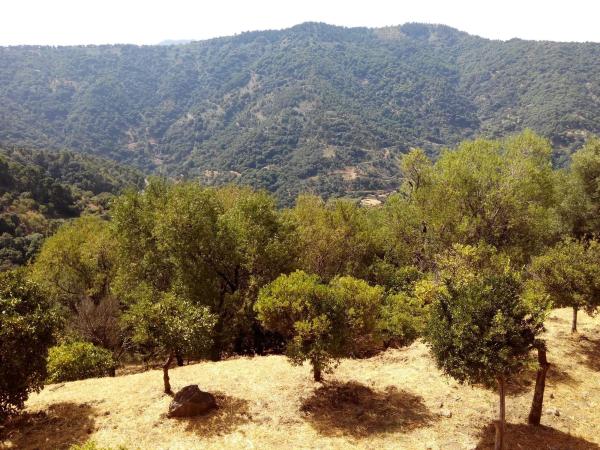 Terreno en campa solana, 14