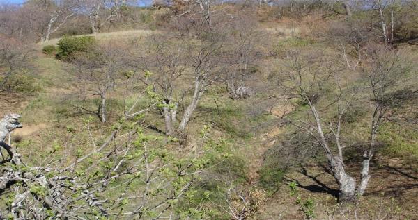 Terreno en viña de juanes s/n