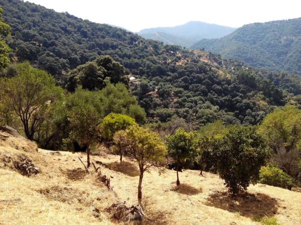 Terreno en campa solana, 14