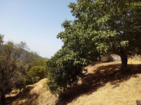 Terreno en campa solana, 14