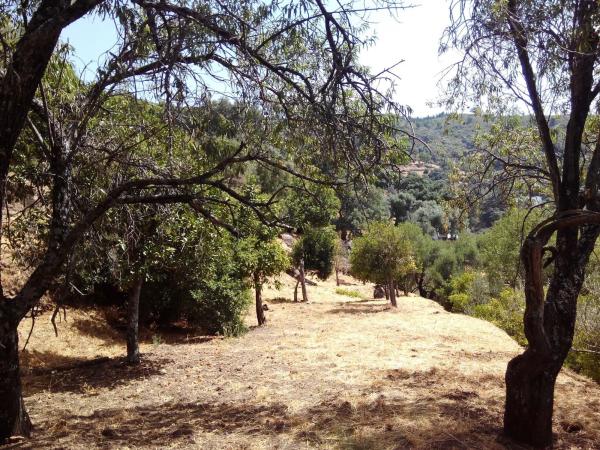 Terreno en campa solana, 14