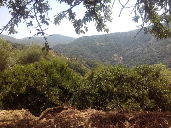 Terreno en campa solana, 14