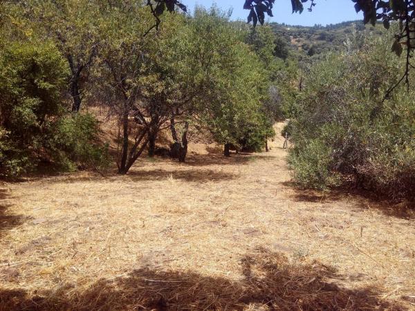 Terreno en campa solana, 14