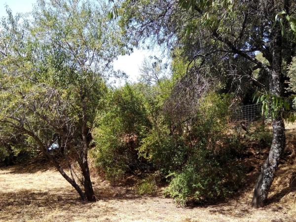 Terreno en campa solana, 14