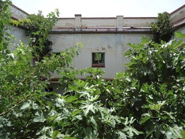 Terreno en carretera n-334, 162 .0