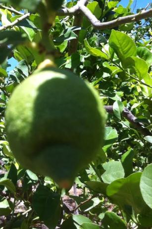 Terreno en puerto terrón, 3