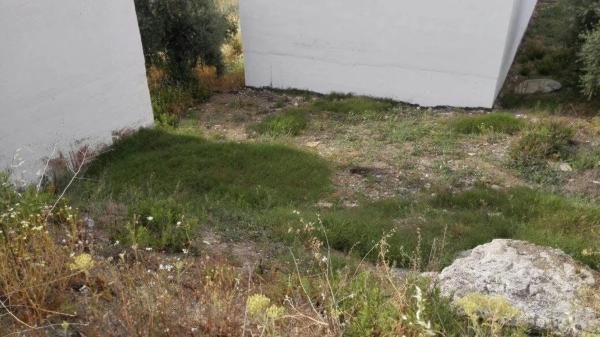 Terreno en buenaventura, 13