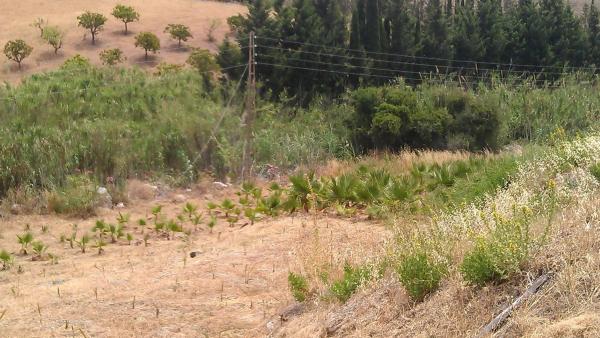 Terreno en diseminado diseminados, 309