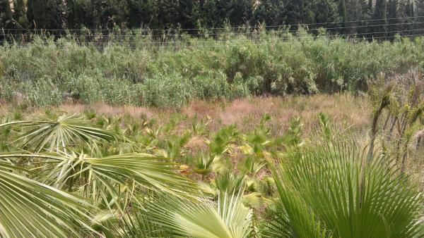 Terreno en diseminado diseminados, 309