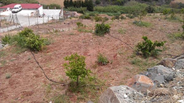 Terreno en diseminado diseminados, 309