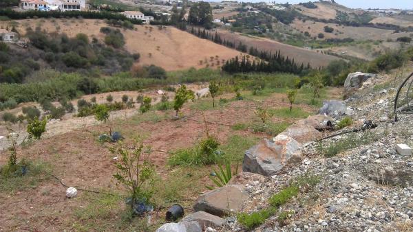 Terreno en diseminado diseminados, 309