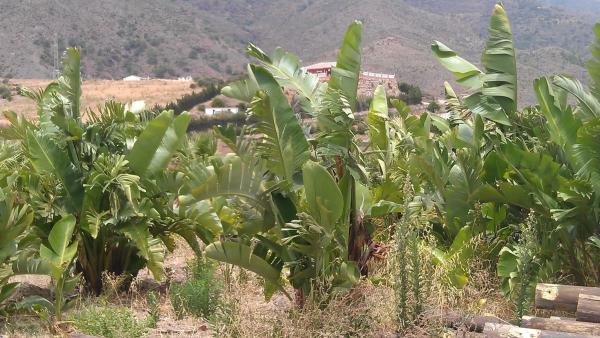 Terreno en diseminado diseminados, 309