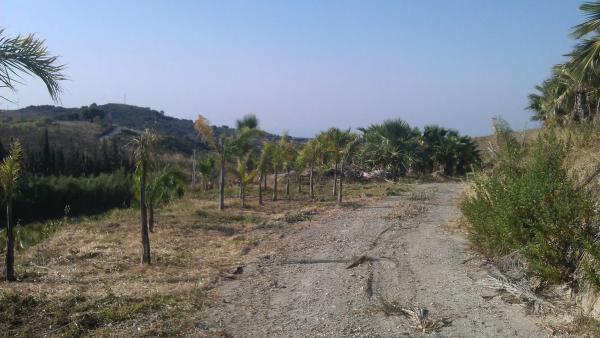 Terreno en diseminado diseminados, 309