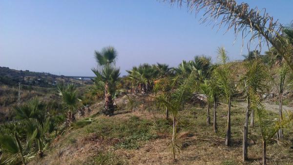 Terreno en diseminado diseminados, 309