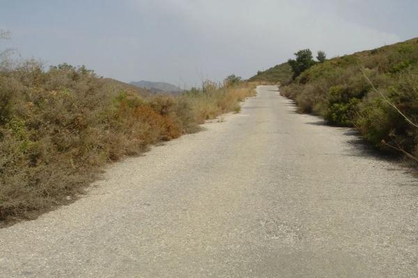 Terreno en Diseminado poligono 12, 8
