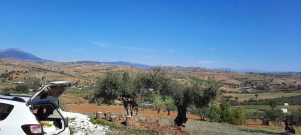 Terreno en camino Coin s/n