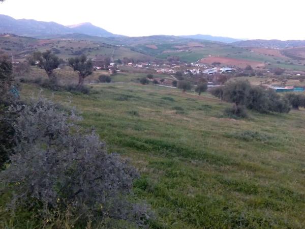 Terreno en camino Coin s/n