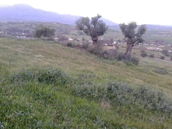 Terreno en camino Coin s/n