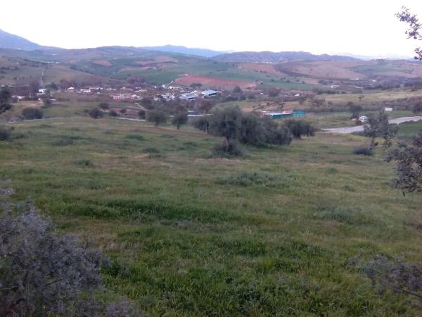 Terreno en camino Coin s/n