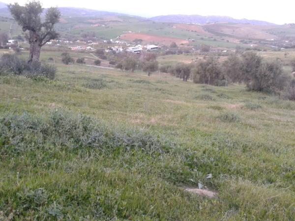 Terreno en camino Coin s/n