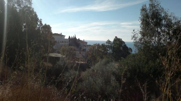 Terreno en calle el Olmedo, 42