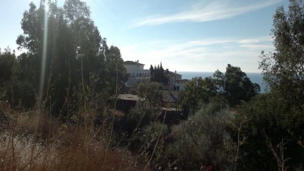 Terreno en calle el Olmedo, 42