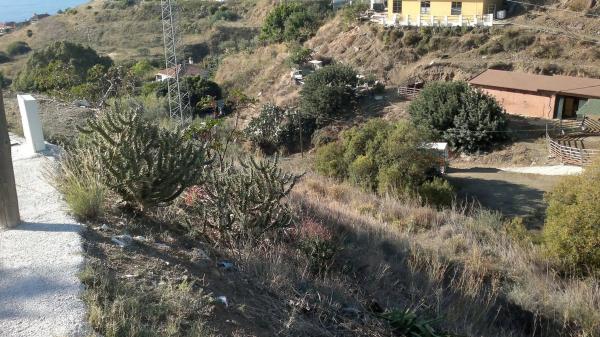 Terreno en calle el Olmedo, 42