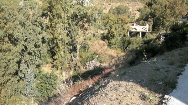 Terreno en calle el Olmedo, 42