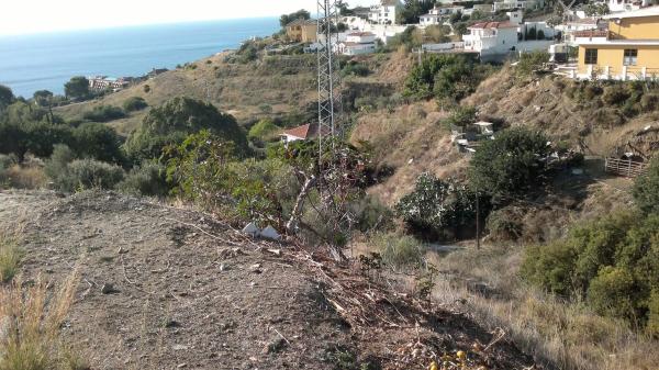 Terreno en calle el Olmedo, 42