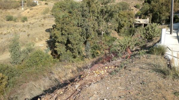 Terreno en calle el Olmedo, 42
