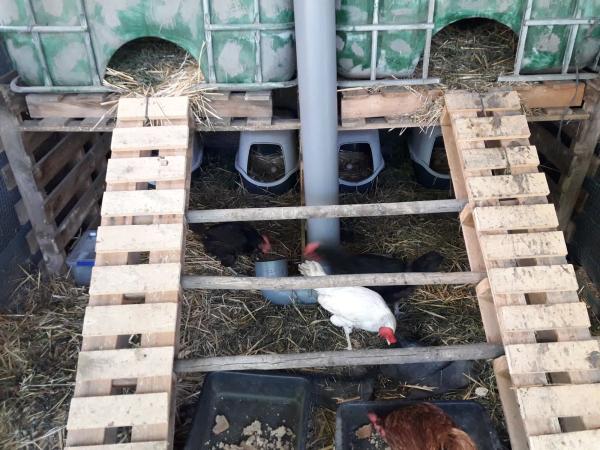 Terreno en Entrada al Collao, 9