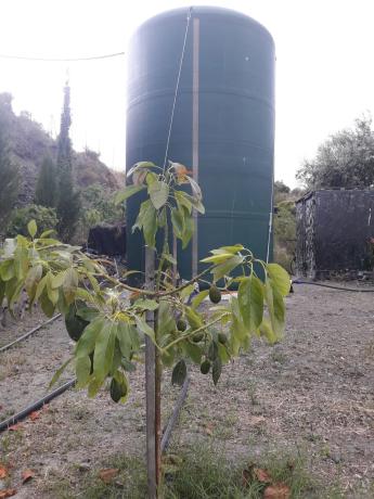 Terreno en Entrada al Collao, 9