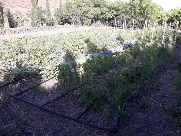 Terreno en Entrada al Collao, 9