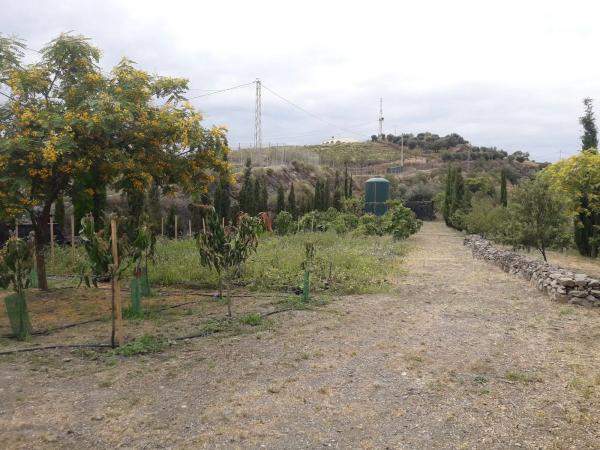 Terreno en Entrada al Collao, 9