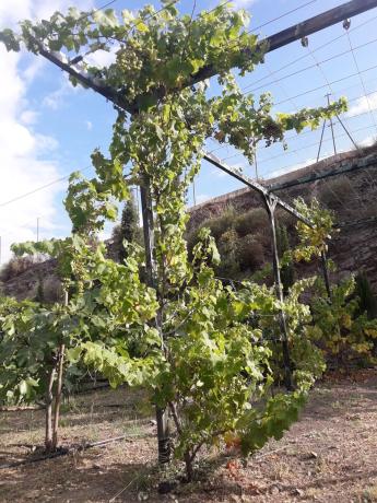 Terreno en Entrada al Collao, 9