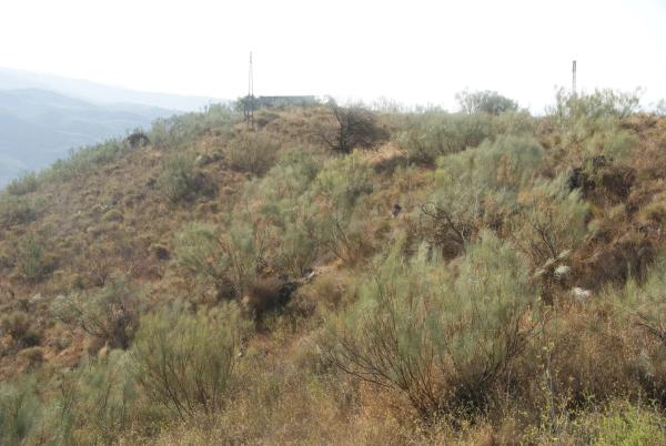 Terreno en Atalaya Baja s/n