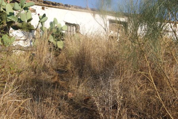 Terreno en Atalaya Baja s/n