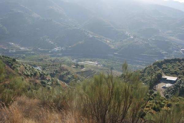 Terreno en Atalaya Baja s/n