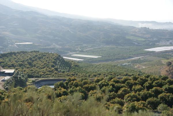 Terreno en Atalaya Baja s/n
