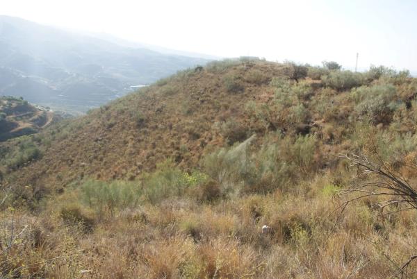Terreno en Atalaya Baja s/n
