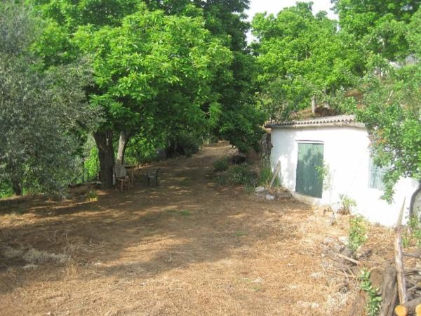 Terreno en calle Calvario, km 0