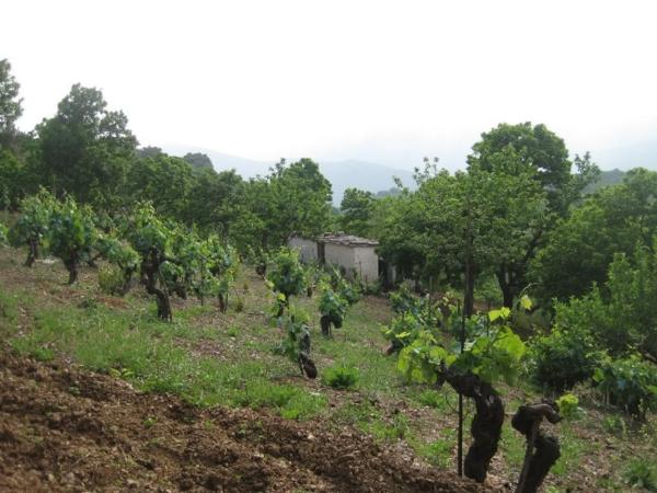 Terreno en calle Calvario, km 0