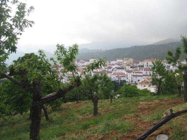 Terreno en calle Calvario, km 0