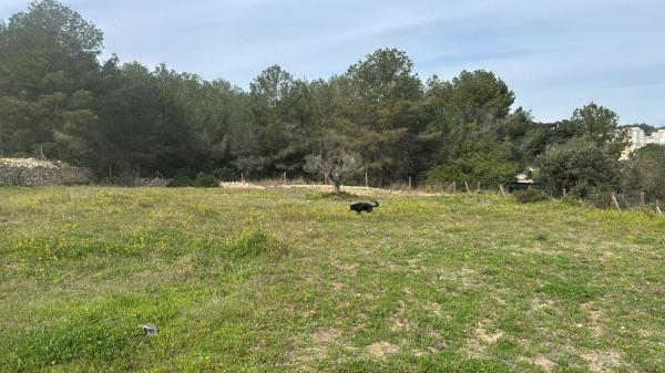 Urbanizacion de Puigmoltó