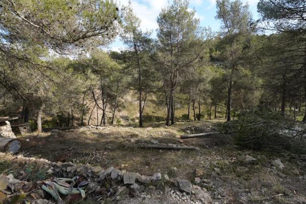 Casa o chalet independiente en venta en calle Solei, 22