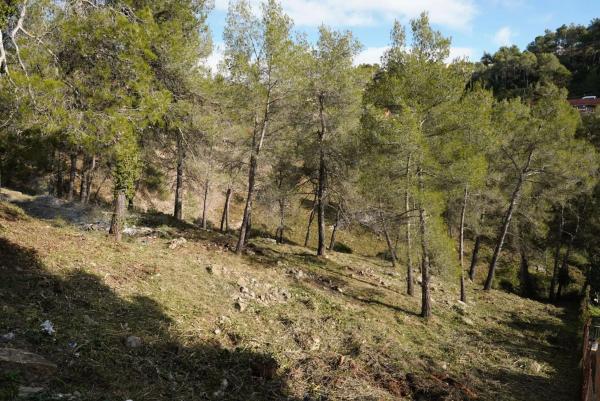 Casa o chalet independiente en venta en calle Solei, 22