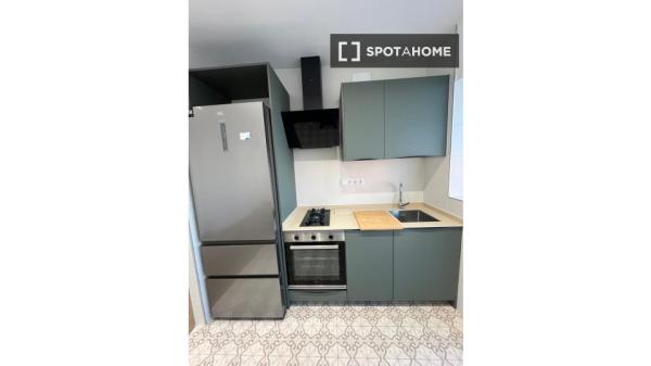 Habitación en piso compartido en Alicante (Alacant)