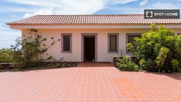 Estudio en alquiler en Arona, Santa Cruz de Tenerife